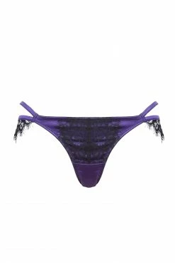 Playful Promises Sheba Purple Lace Brief Curve