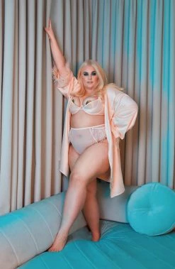 Felicity Hayward X PP Phoenix Blush Feather High Waisted Brief