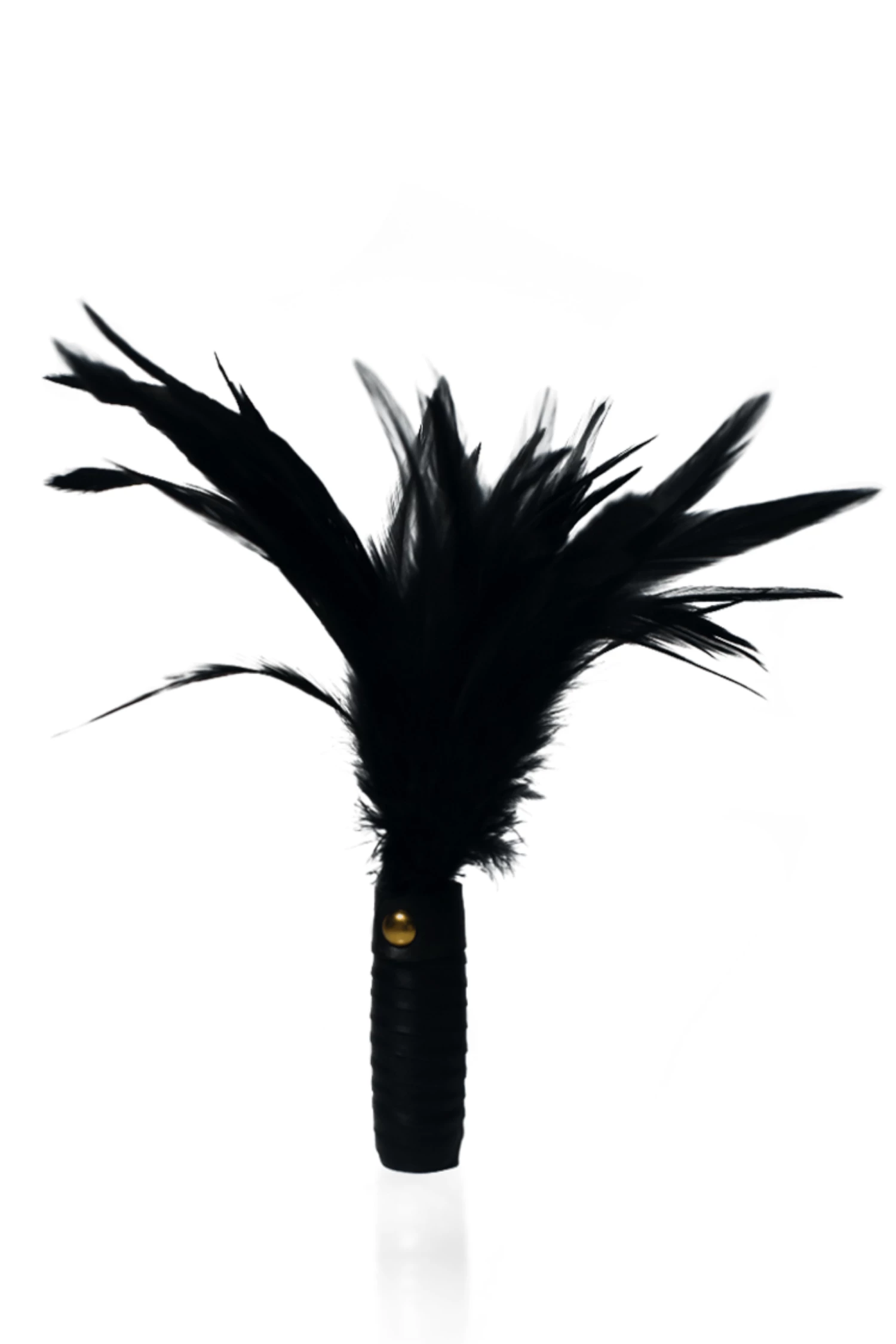 Best reviews of โ๏ธ Coco De Mer New In Black Leather Feather Tickler ๐ 1 Coco De Mer New In Black Leather Feather Tickler