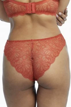 Wolf & Whistle Ariana Intense Rust Everyday Lace Brief Everyday Lingerie