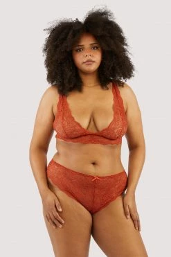 Wolf & Whistle Ariana Ginger Lace Brief New In
