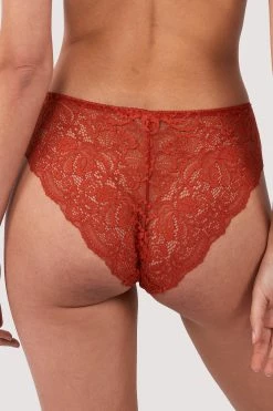 Wolf & Whistle Ariana Ginger Lace Brief New In