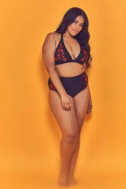 Wolf & Whistle Embroidered High Waist Bikini Brief Curve Knickers