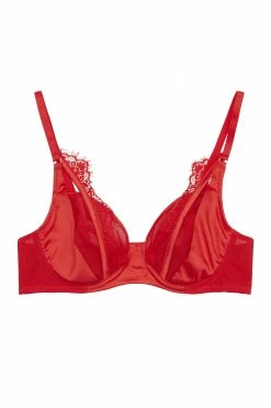 Playful Promises Zoya Fishnet And Lace Plunge Bra A - D Bras