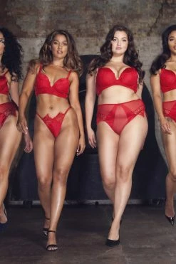 Playful Promises Melina Red Longline Plunge Bra Bras