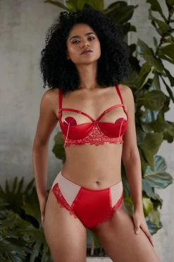 New โจ Playful Promises New In Anaise Red Highwaist Brief ๐ 19 Playful Promises New In Anaise Red Highwaist Brief