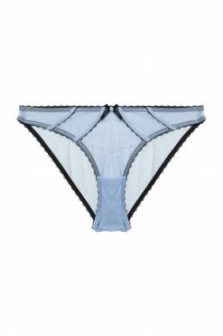 Deja Day Grace Lavender Mesh Brief