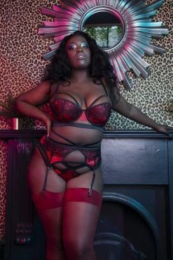 Budget 😍 Playful Promises Tasmin Ruby Lace Brazilian Brief Knickers 🛒 24 Playful Promises Tasmin Ruby Lace Brazilian Brief Knickers