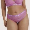 Hustler Branded Pink Curve Lace Brief Everyday Lingerie
