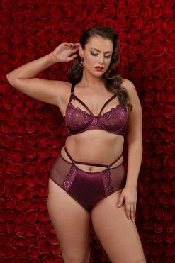 Dita Von Teese Lingerie Madame X Dark Cherry Plunge Curve Bra