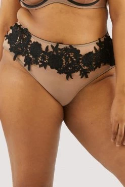 Playful Promises Curve Exclusive Alaina Illusion Mesh And Black Applique Brief