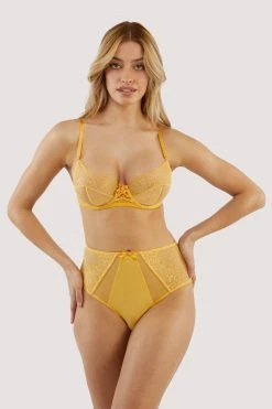 Playful Promises Ziggy Mango Lace And Spotted Mesh High Waisted Brief New In