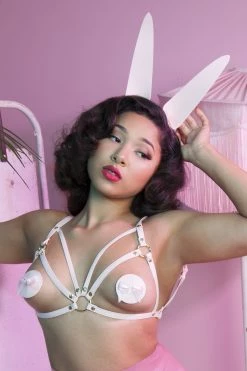 Outlet 🔔 Regalia Erotic Baby Pink Nipple Pasties 😉 7 Regalia Erotic Baby Pink Nipple Pasties