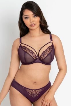Wholesale 👏 Scantilly New In Fascinate Plum Brazilian Brief 🔔 9 Scantilly New In Fascinate Plum Brazilian Brief