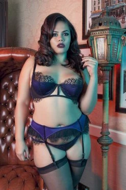 Playful Promises Sheba Purple Lace Brief Curve